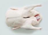 Tips To Identify Rotten Duck